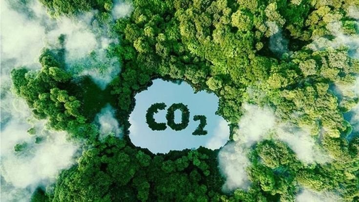 Ilustração sobre créditos de carbono e registro nacional