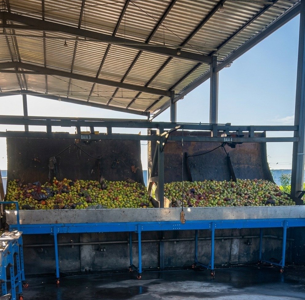 Digestato e aplicação como biofertilizante